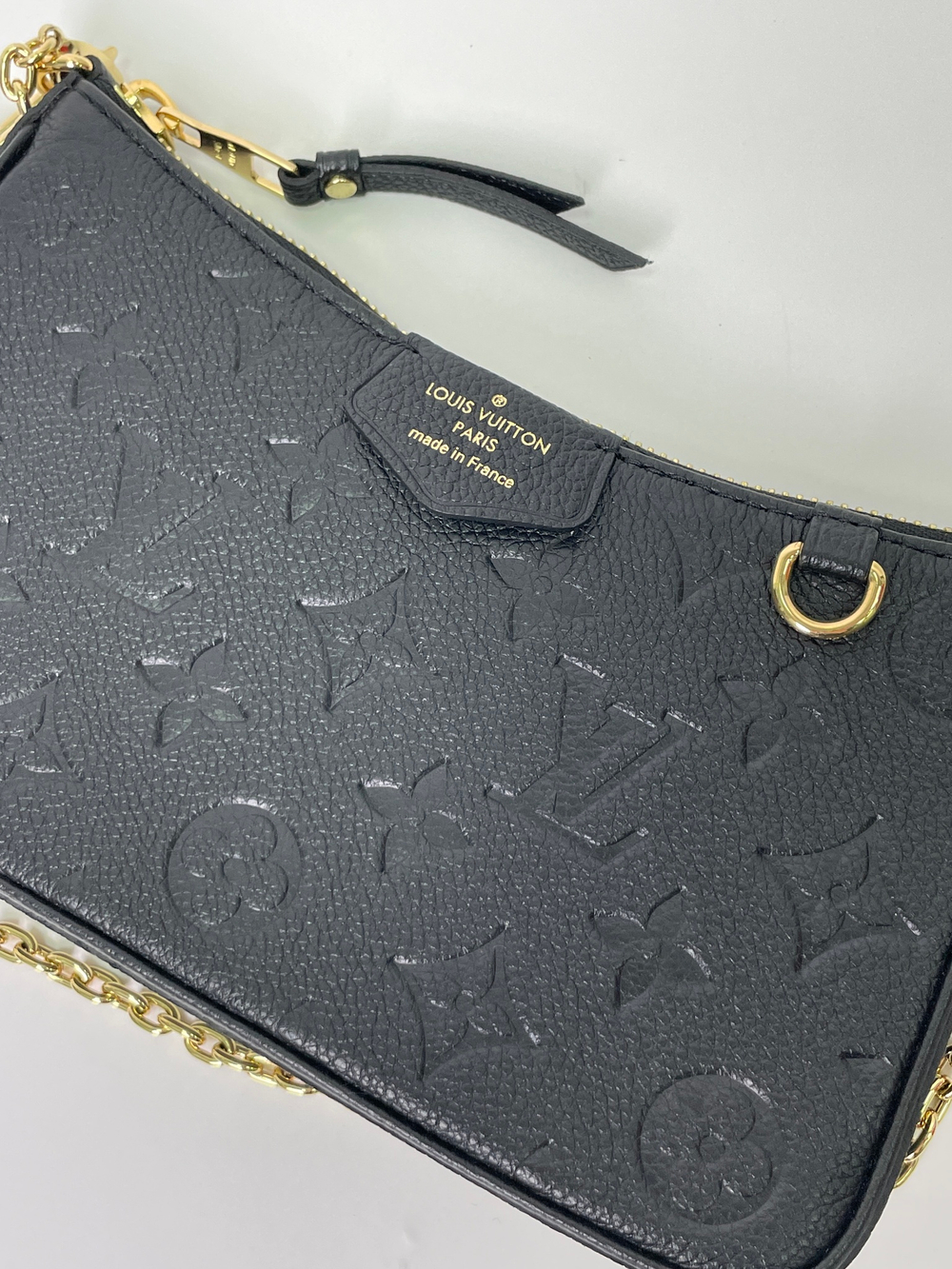 Сумка Louis Vuitton Easy Pouch