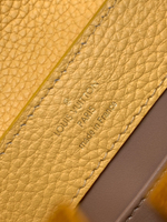 Louis Vuitton Capucines Mini