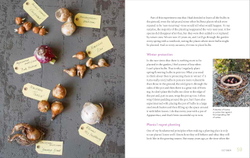 My Garden: A Year of Design and Experimentation