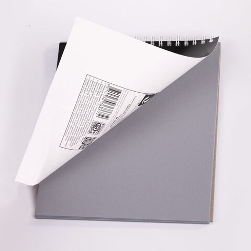 Скетчбук, серая бумага 120 г/м2, 170х195 мм, 30 л., гребень, подложка, цветная фольга, "Одуванчик", 98672