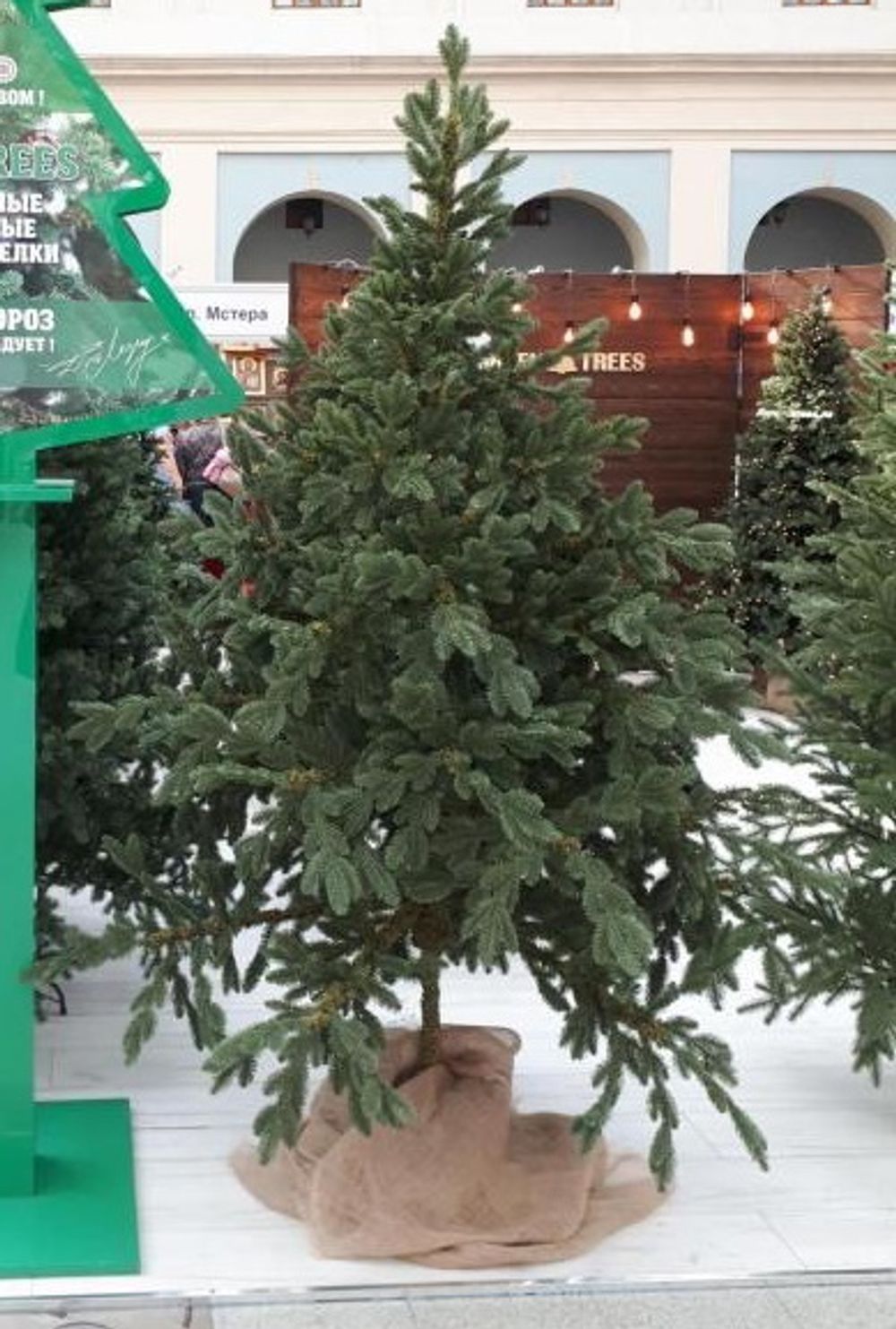 Искусственная ель на ножке «Датская» (Литая хвоя) высота от 1.2 м до 2.4 м