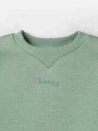 Свитшот "Полынь" утепленный