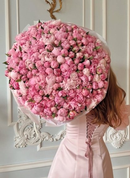 201 идеальный Пион