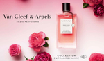Van Cleef & Arpels Collection Extraordinaire Rose Rouge EDP