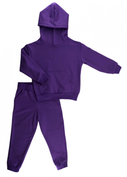 Спортивный костюм 0316/20 фиолетовый