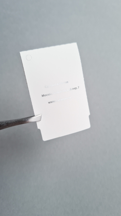 Бирка-книжка 103*33 (1000 шт в рул). Печать серебряным