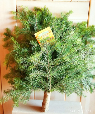 Веник пихтовый