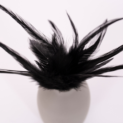 Перья петуха черные 10 - 15 см. 20 шт.
