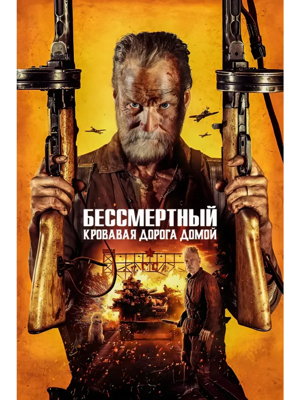 Бессмертный: Кровавая дорога домой (2025) (DVD-R)