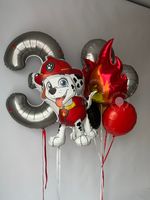 Воздушные шары Щенячий Патруль №8836