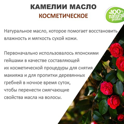 Камелии масло, косметическое / 100 мл