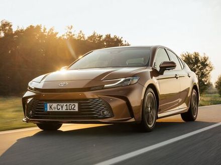 #V80 (2024-2025)