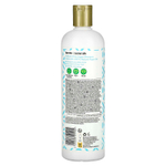 Inecto, Naturals, шампунь с арганой для блеска и блеска, для тусклых и вьющихся волос, 500 мл (16,9 жидк. унции)