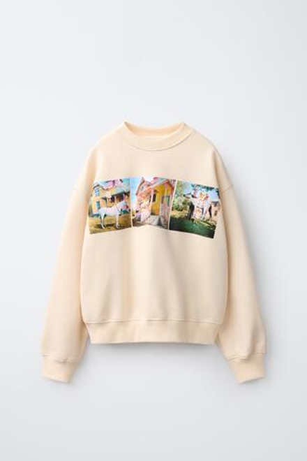 ZARA ТОЛСТОВКА PIPPI CALZASLARGAS © ASTRID LINDGREN COMPANY, ЭКРЮ