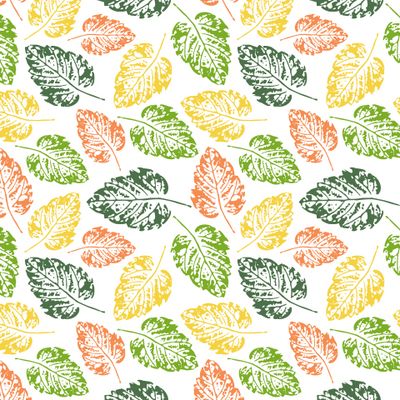 Осенние листочки на белом фоне