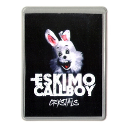 Чехол для проездного Eskimo Callboy