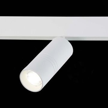 ST365.546.18 Магнитный трековый светильник белый LED 1*18W 4000K 1 530Lm Ra&gt;80 36° IP20 L-xW60xH148 SKYLINE 48
