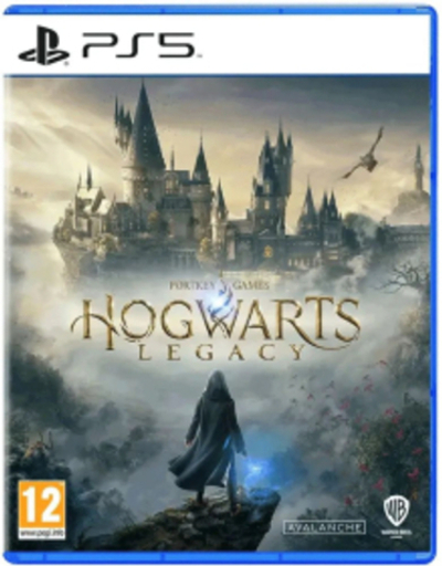 Игра для PS5 Hogwarts Legacy, русские субтитры