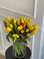 АКЦИЯ тюльпан - классика ЖЕЛТЫЙ