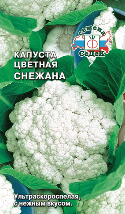 капуста Снежана