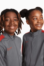 Спортивный костюм Nike Academy 23 Track Junior - серый