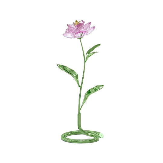 FLORERE:PEONY