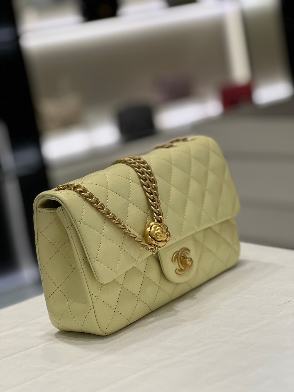 Chane1 Flap Bag 23 cm