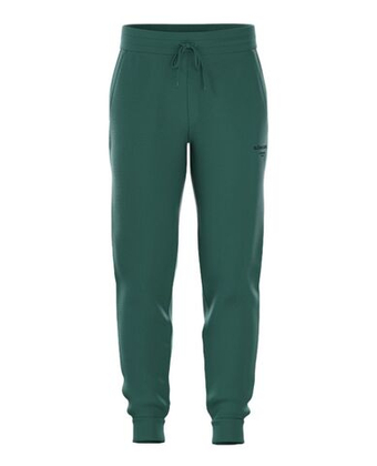 Мужские теннисные штаны Björn Borg Essential 1 - posy green