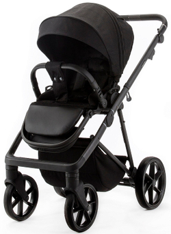 Детская коляска Adamex Delta Natura 2 в 1 DN-11-CARBON (ЧЕРНЫЙ)