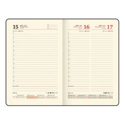 Ежедневник датированный А6 BRAUBERG "Iguana" (117252) 11