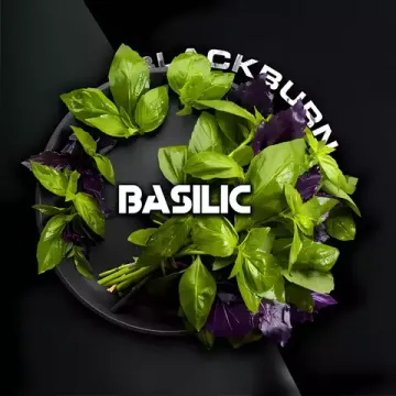 Black Burn - Basilic