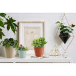 Горшок для цветов пластиковый 3,3л d-19см «Sand» c дренажной вставкой, молочный шоколад