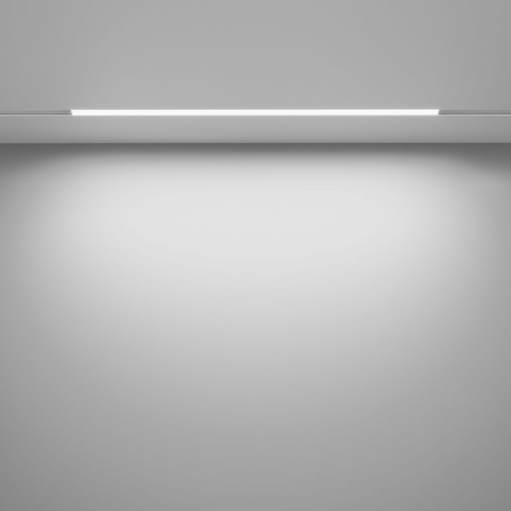 Трековый светодиодный диммируемый светильник Maytoni Exility Basis Dim Dali TR030-4-24WTW-DD-W