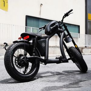 Электровелосипед Mangosteen FT-02 EEC 60V1000W30A