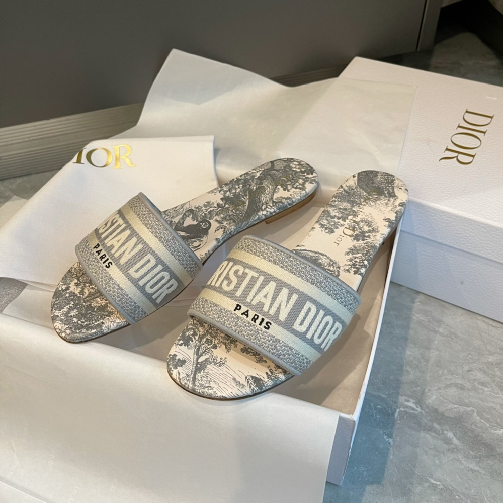 Christian Dior Dway Slide