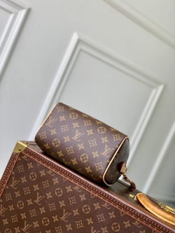 Louis Vuitton Speedy 20