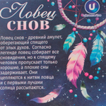 Украшение-оберег «Ловец Снов-Dream» 13*50см цвет нежно-зеленый, с подсветкой