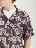 Мужская Рубашка Sakura Camp Collar