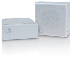 CVGAUDIO WPS6T Широкополосный настенный громкоговоритель