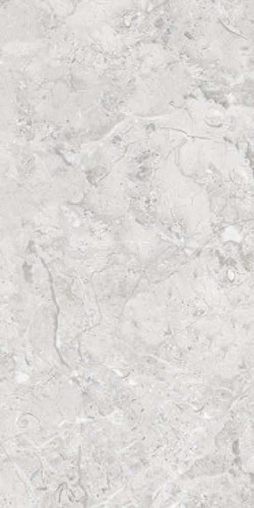 Керамогранит ELEGANCE Grey Glossy Silver Line