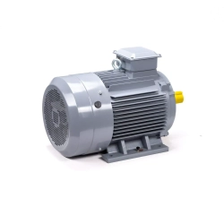 Электродвигатель ESQ PR 355 S4 GST-Б1-S32-IE2 250/1500 IM1001