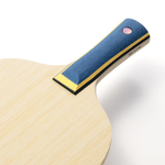 Butterfly Timo Boll J