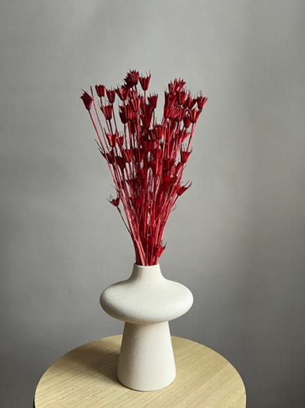 Нигелла винная