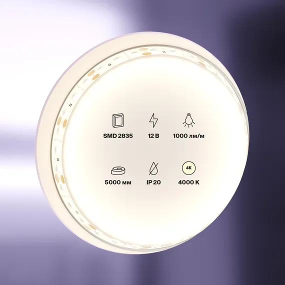 Светодиодная лента 12В 2835 9,6Вт/м 4000K 5м IP20 Led Strip 10109