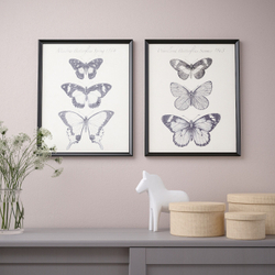 IKEA BILD  (ИКЕА БИЛД)  -  Плакат, бабочки, 40x50 см