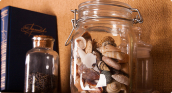 Кейс «Масштабирование» (Визуализация)