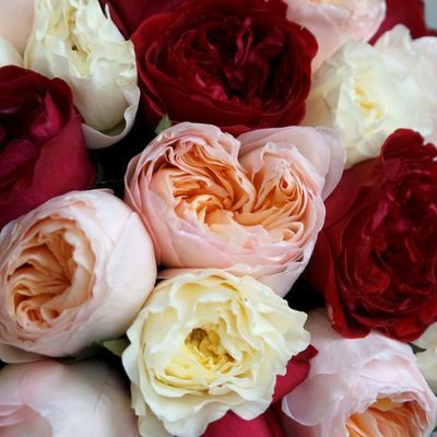 30. Яркий микс из роз David Austin