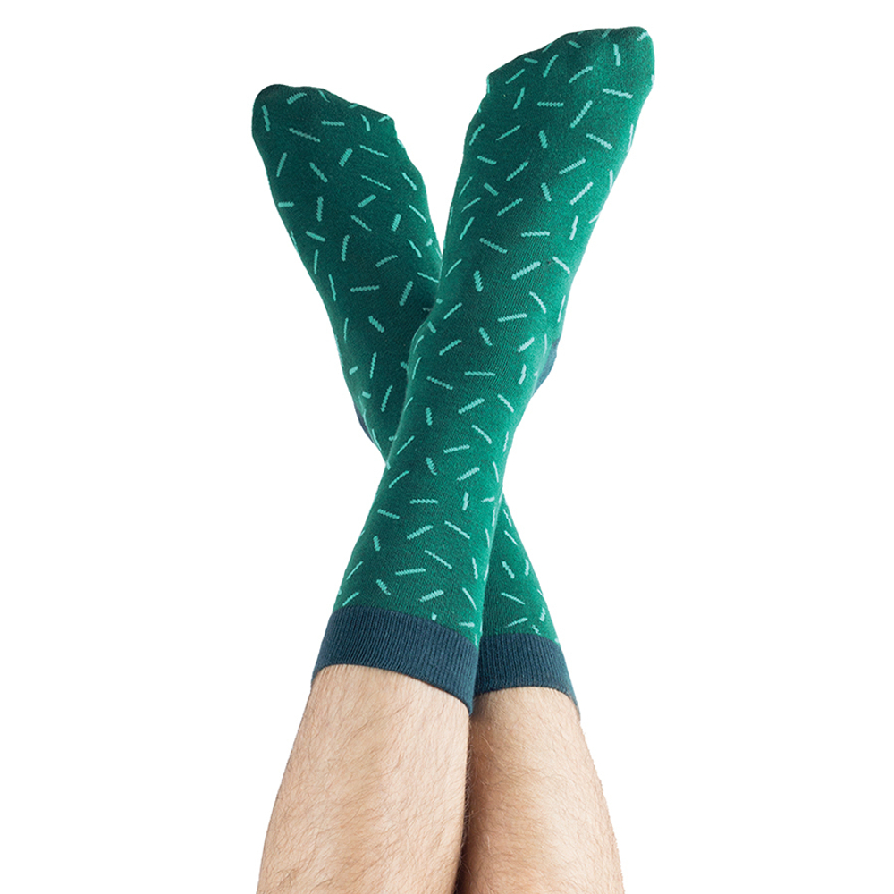 Носки cactus astros