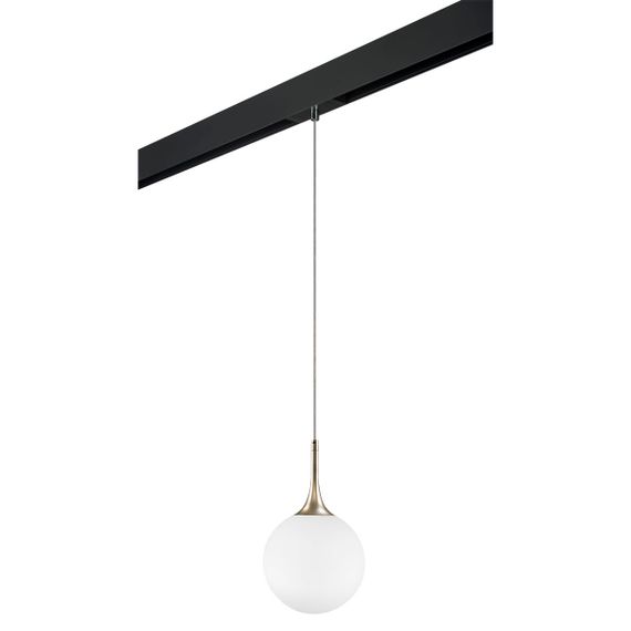 Комплект с трековым светильником Lightstar Globo (813023+595007) PRO813023