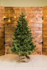 Ель искусственная «Шервуд» (Литая хвоя) 180 см / 1,8 м
